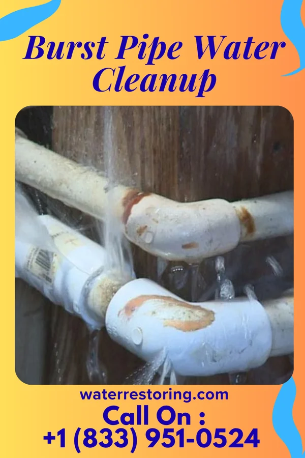 Burst Pipe Water Cleanup in Donahue, IA